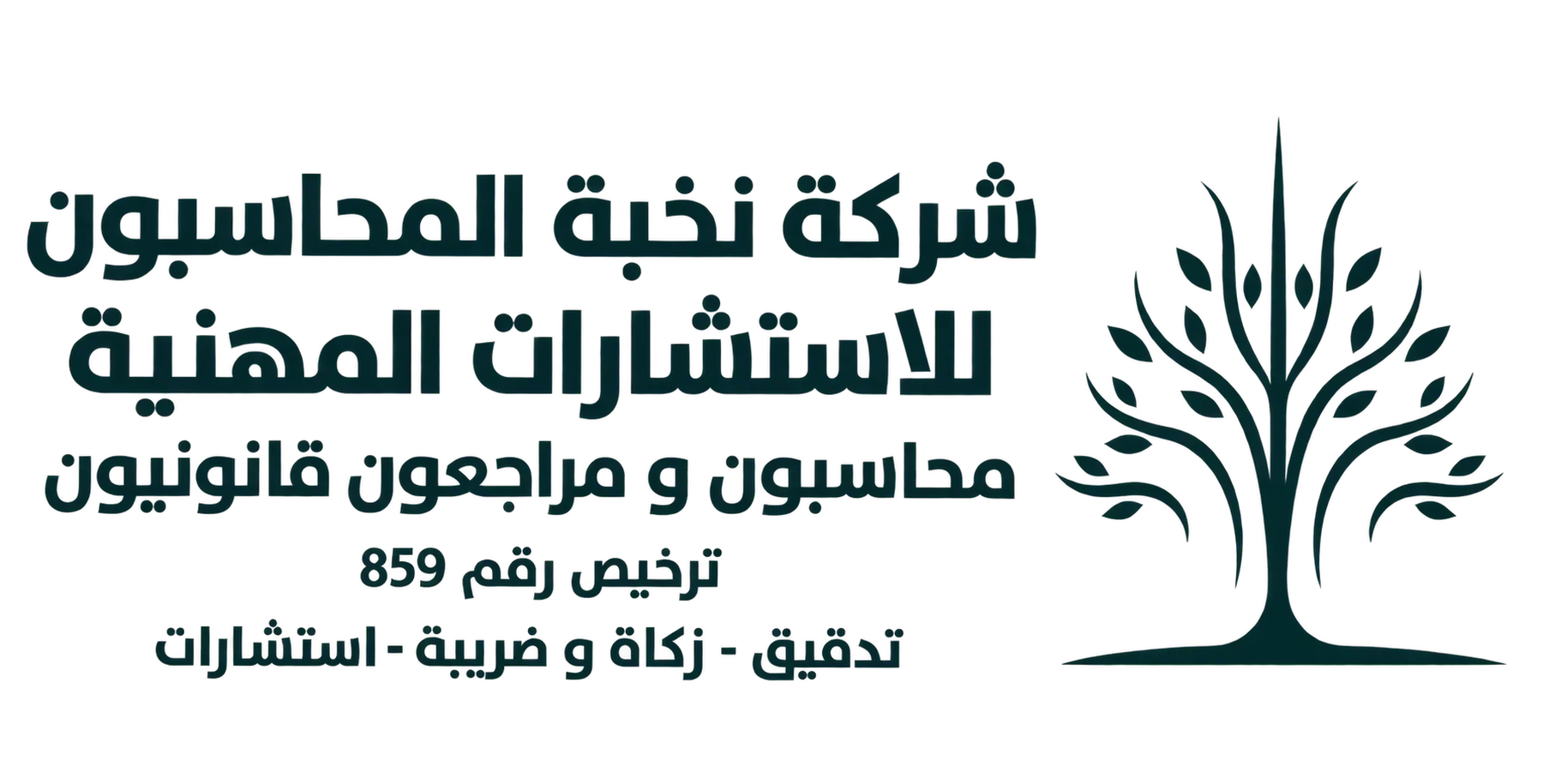 شركة نخبة المحاسبون للاستشارات المهنية